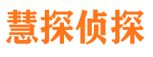 九原市侦探公司